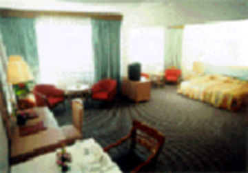Sahid Raya Hotel